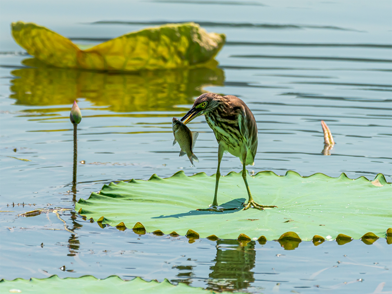 水質(zhì)檢測(cè)儀器