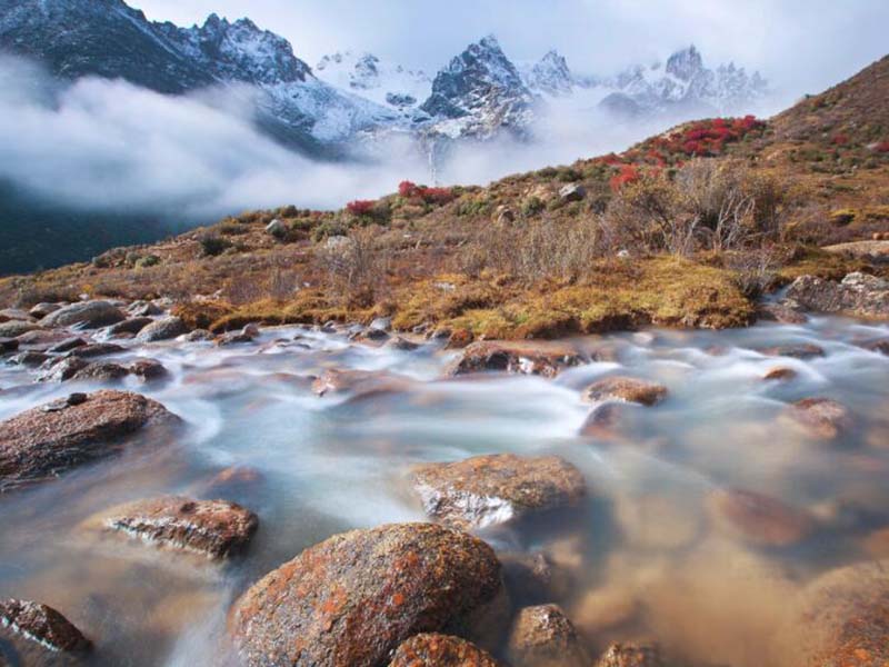 沒加消毒劑卻測(cè)到余氯有可能嗎