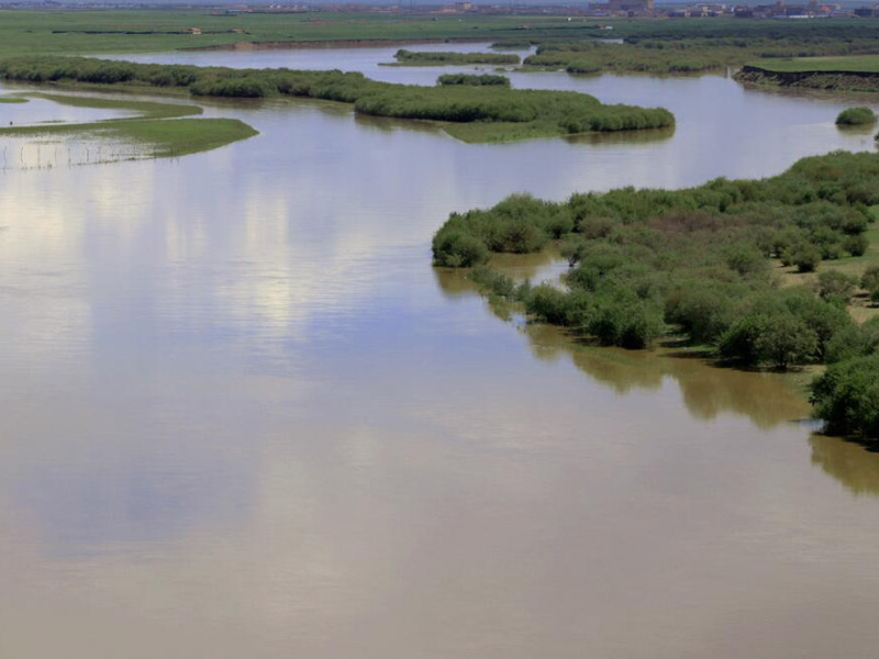 氨氮快速測定儀檢測出9999是什么原因