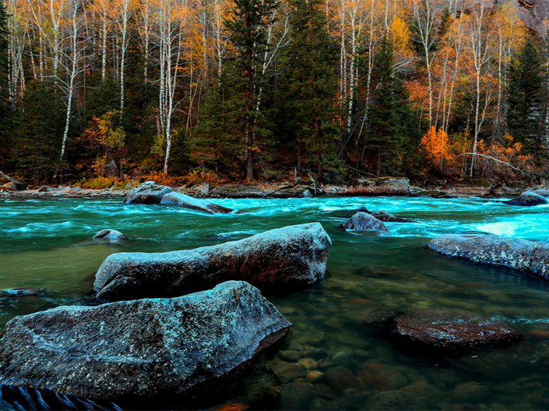 水質(zhì)總磷檢測(cè)步驟及注意事項(xiàng)